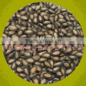 Black Watermelon Seeds in 11cm, 2013crop thumbnail-1
