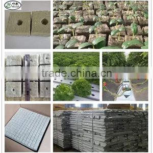 Plant Fiber Material Hydroponic Rock Wool 4X4X4 INCH 6X6X6 INCH thumbnail-1