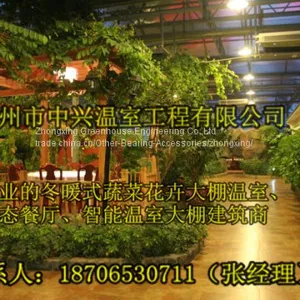 We Construct Vegetables Greenhouse More Professional thumbnail-4