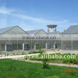 Polycarbonate Sheet Greenhouse thumbnail-1