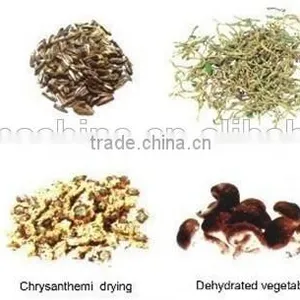 Industrial Tray Type Vegetable Mushroom Dryer Machine thumbnail-4