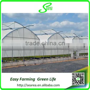 Multispan Tunnel Greenhouse for Flower thumbnail-1