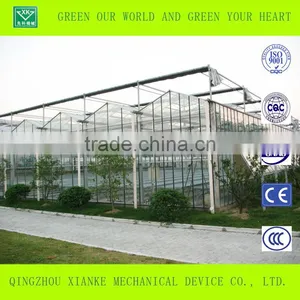 Professional Top Qualityl Hydroponic System Greenhouse thumbnail-4