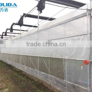 Baolida Hot Dip Galvanized Framework Polythene Greenhouse Greenhouse for Vegetables and Plant thumbnail-6