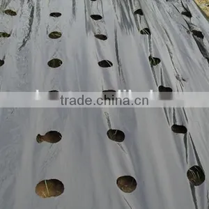 Perforated Black Agricultural Mulch Film for Weed Control thumbnail-4