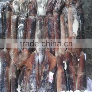 Frozen Seafood Illex Squid 100-150g thumbnail-2