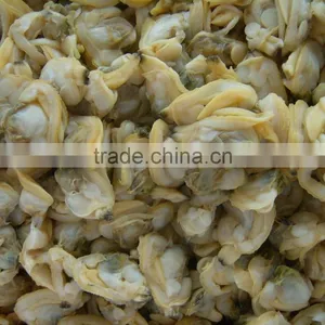Frozen Short Neck Clam Meat thumbnail-2