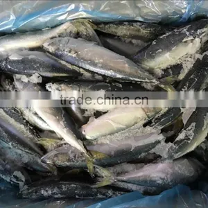China Cheap China Frozen Fish Pacific Mackerel on With Good Quality thumbnail-2