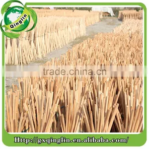 120cm Eco-friendly PVC Coated Wooden Broom Handle thumbnail-1