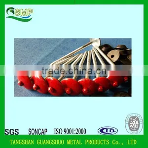 Direct Factory High Quality Rubber Washer Roofing Nails/plastic Washers for Roofing Nails thumbnail-1