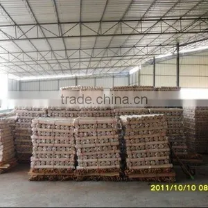 Mass Production Natural Wooden Broom Handle thumbnail-1