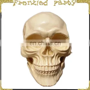New Arrival Simulation Skull Wholesale Halloween Skull FGHS-0004 thumbnail-1