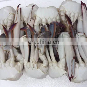 Wholesale Frozen Cut Blue Swimming Crab for Market thumbnail-5