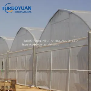 Agricultual Greenhouse Covering Hot House Plastic Film thumbnail-3