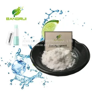 Koolada/ Coolant/ Cooler WS-5 CAS.: 39711-79-0 Cooling Agent WS-5 Powder Use in Antiperspirant thumbnail-2