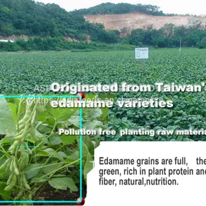 Frozen Shelled Soybeans,shelled Edamame,HACCP,ISO22000,BRC,HALAL,KOSHER thumbnail-2