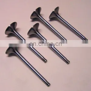OEM Quality 4926069 3080975 3417778 4955239 Intake Exhaust Valve For Cumminss QSM11 Engine Valve thumbnail-2