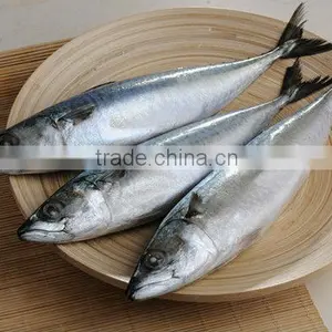 Good Fresh and Frozen Fish Mackerel thumbnail-1