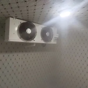 Medium Size Cold Storage,Cold Room,Cold House thumbnail-2