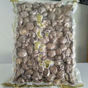 Lentinula Edodes thumbnail-4