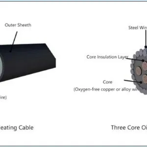 Three Core Armored Hollow Sucker Rod Heating Cable thumbnail-3
