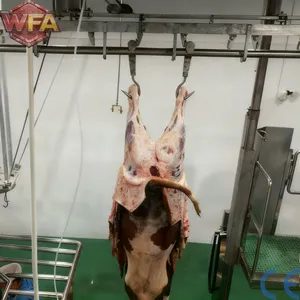 Abattoir Equipment Cattle Slaughter Machine Beef Processing Line Livestock Facility System Tools Machinery thumbnail-1