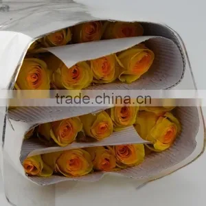 Excellent Quality Yellow Crown Yellow Big Rose Flower thumbnail-3