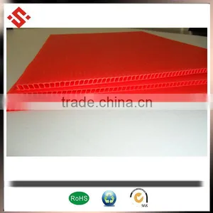 pp Corrugated Plastic Sheet for Plastic Packing Glass Bottles thumbnail-2