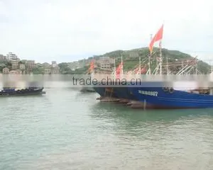 Ningbo Blue Whale Import & Export Co., Ltd. company overview - view 1 thumbnail