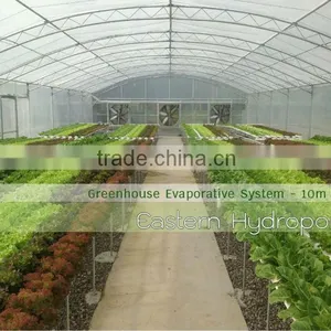 Turn Key Industrial Hydroponics thumbnail-1