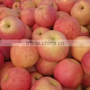 Gansu Qinguan Apple thumbnail-1