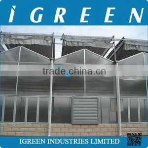 Multi Span Polycarbonate Greenhouse thumbnail-5