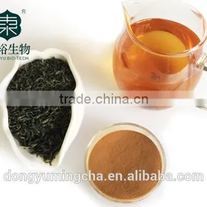 Organic Green Tea Extract 70% Catachine EGCG For Cosmetics Supplements thumbnail-1