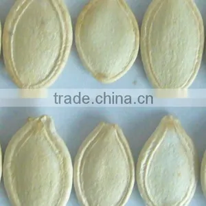 Chinese Roasted Pumpkin Seeds thumbnail-1