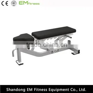 Life Fitness Equipment Roman Chair Back Extension thumbnail-2