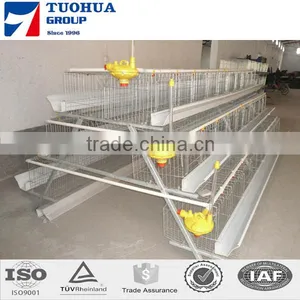 A Type Egg Chicken Layer Cages,layer Poultry Cages thumbnail-3