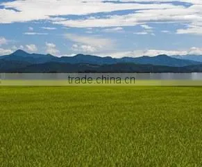Horikei Trading Company company overview - view 1 thumbnail
