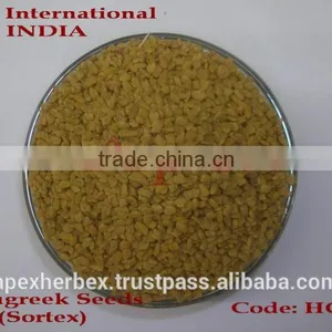 Spices Graecum / Fenugreek Seeds / Methi / Trigonella Foenum-Graecum thumbnail-5