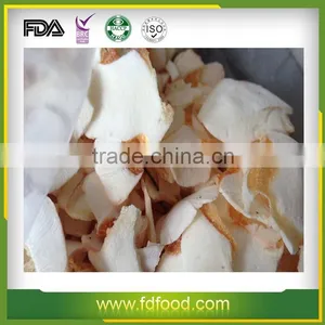 Freeze Dried Squid Pieces thumbnail-1