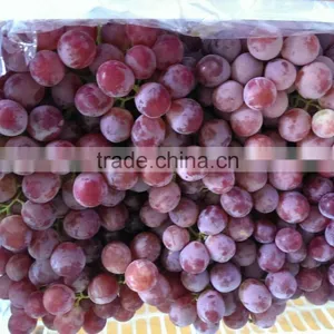 2014 New Crop Red Globe Grapes thumbnail-2