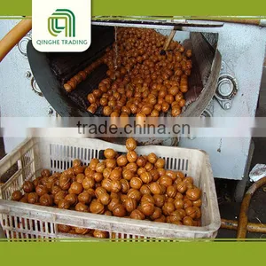 Natural High Quality Walnut Kernels Walnut Without Shell 18mm-24mm thumbnail-2
