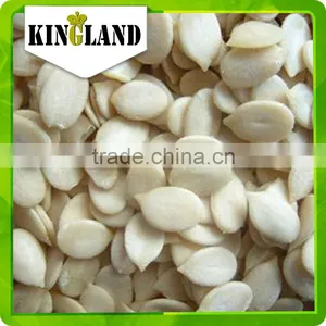Best Tasting Black Seedless Watermelon Seed thumbnail-5