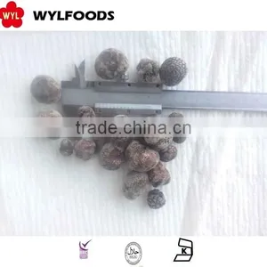 IQF Frozen Summer Truffle High Quality Good Price thumbnail-3