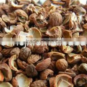 Automatic Almond Peeling Machine/Almond Processing Line Prices thumbnail-6