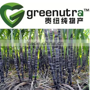 Saccharum Officinarum Extract thumbnail-1