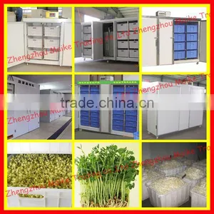 Factory Directly Sellingsprouts Machine thumbnail-1