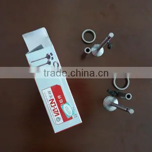 Intake and Exhaust Valve thumbnail-1
