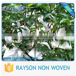 Wholesale Biodegradable Mulching Film / Landscape Fabric thumbnail-6