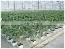 Vertical Greenhouse Growing System thumbnail-1