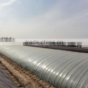 Degradable uv Protection Greenhouse Plastic Film thumbnail-1